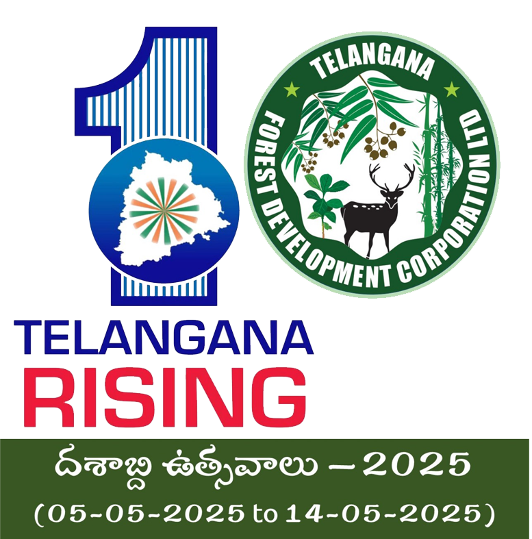 TSFDC